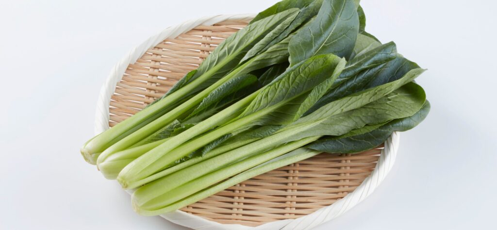 Pak Choi zubereiten