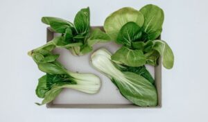 Pak Choi zubereiten